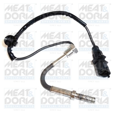 Sensor, exhaust gas temperature